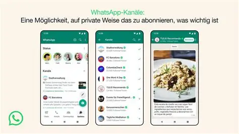 WhatsApp图片自动存相册？3个设置让你不再漏存